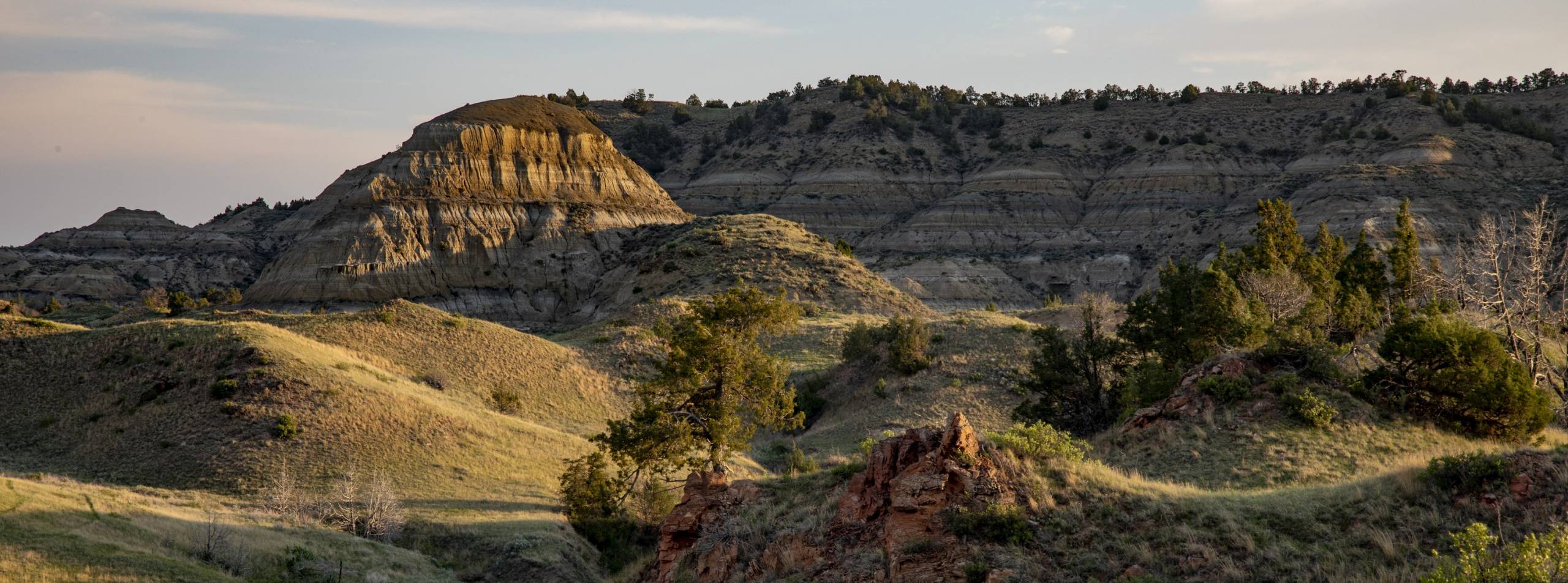 Theodore Roosevelt National Park
